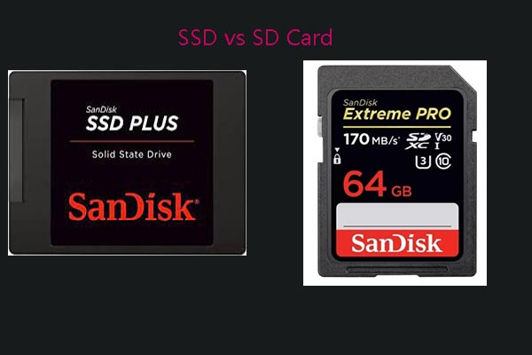 SD Card vs SSD: What You Need to Know About Lifespan and Reliability