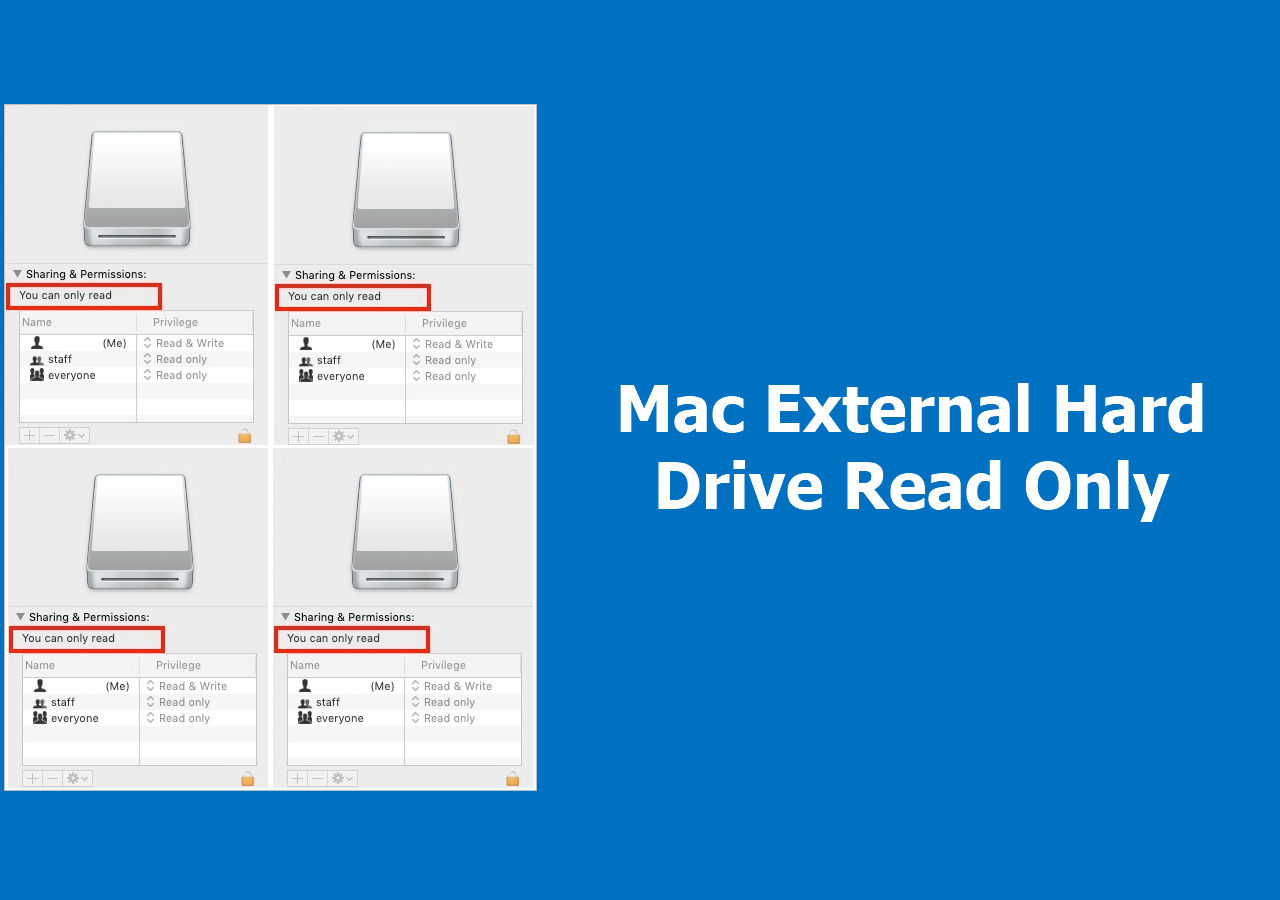 Why Mac Can Only Read External Hard Drive? (Solved) Get Your Mac Writing in Minutes.