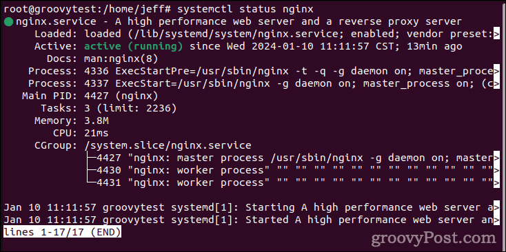 Linux No Route to Host: Simple Fixes and Troubleshooting Tips