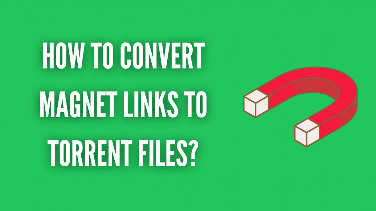Magnet vs .torrent: Whats the Difference and How to Use Them?