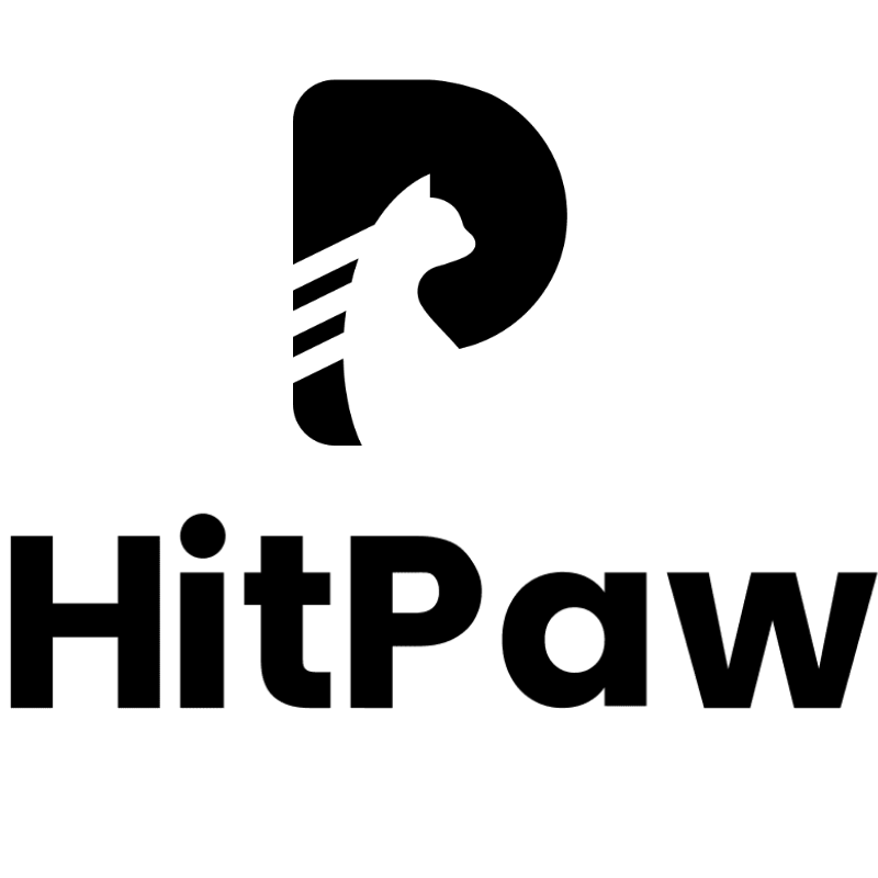 Is HitPaw Safe and Legit to Use? Honest Thoughts Here