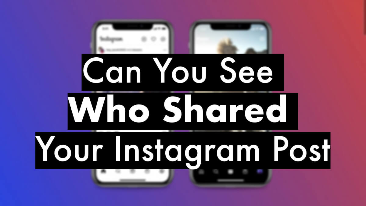 Want to Know How Do You See Who Shared Your Post on Instagram? Find Out Here!