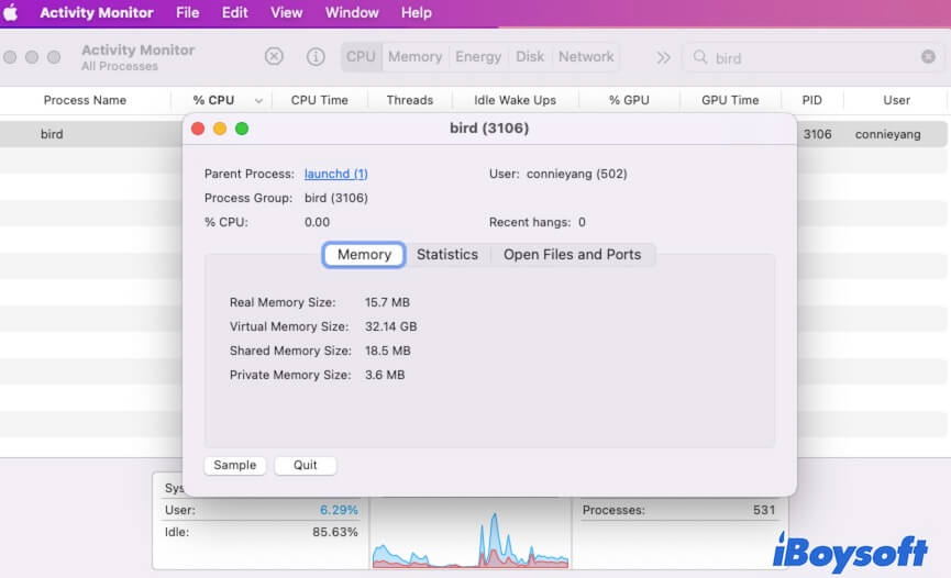 Understanding the Activity Monitor Bird Process in macOS