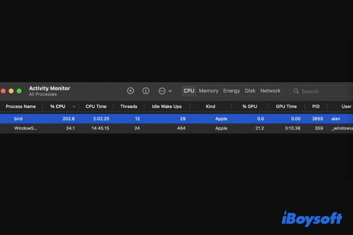 Understanding the Activity Monitor Bird Process in macOS