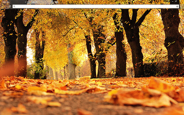 Free Chrome Theme Autumn: Download Now for Your Browser